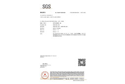 三防漆SGS檢測(cè)報(bào)告images